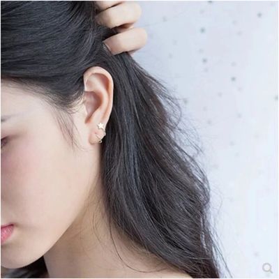 S925 sterling silver earrings for women