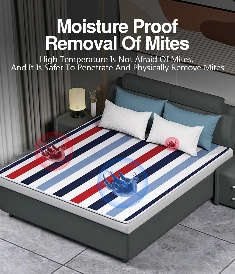 Winter Insulation Heating Electric Blanket
