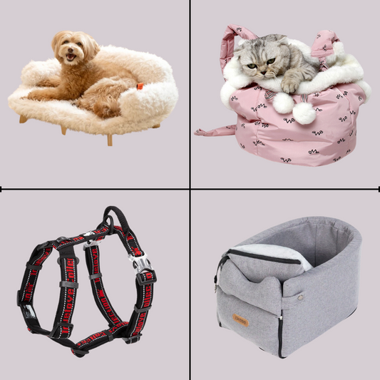 Bundle 5